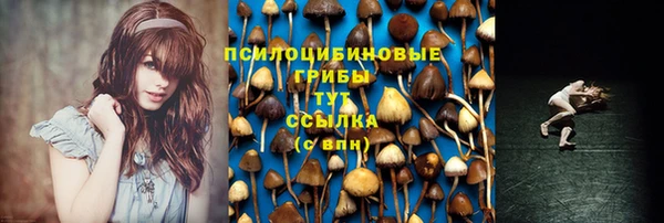 круглые Алексин