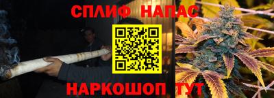 прущие грибы Абакан