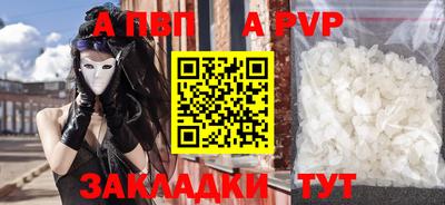 прущие грибы Абакан