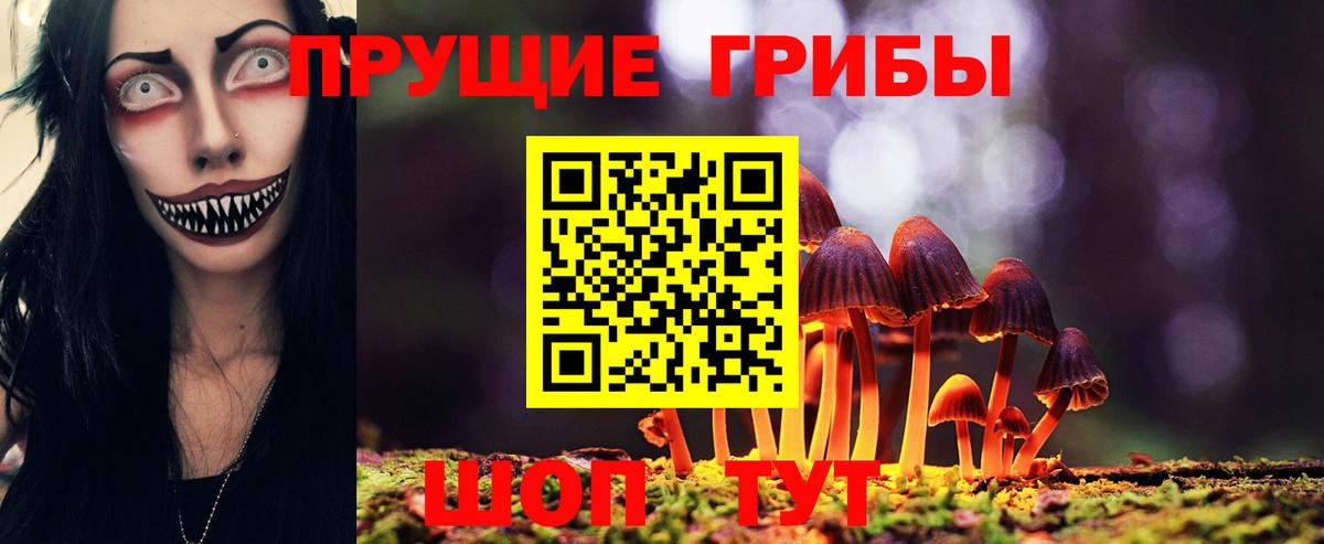 Псилоцибиновые грибы Psilocybe Амурск
